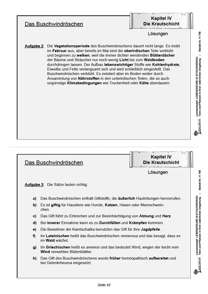 Lernwerkstatt Lebensräume in Stockwerken