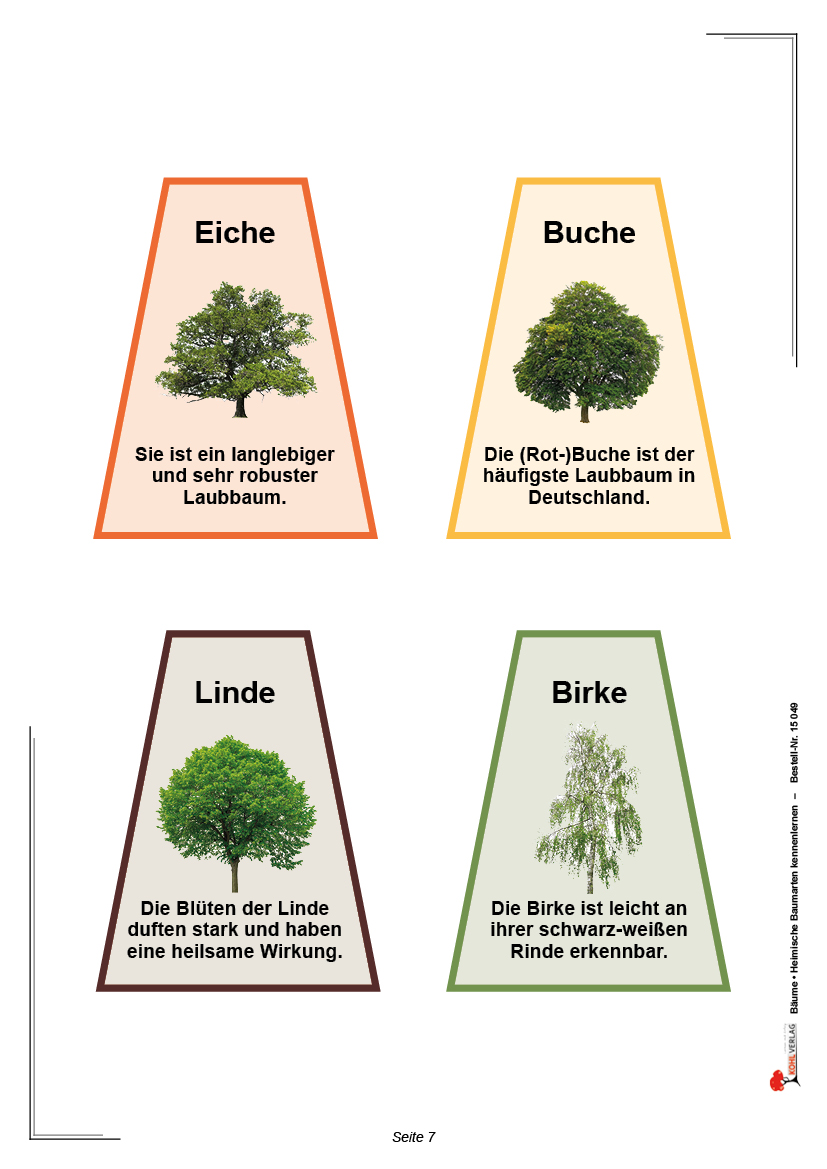 Bäume Bäume