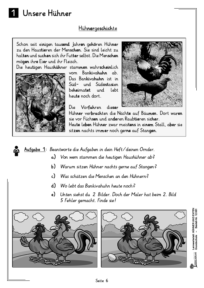 Lernwerkstatt Hühner & Enten / Grundschule Lernwerkstatt Hühner & Enten / Grundschule