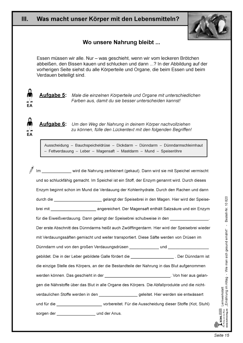 Lernwerkstatt Ernährung im Alltag