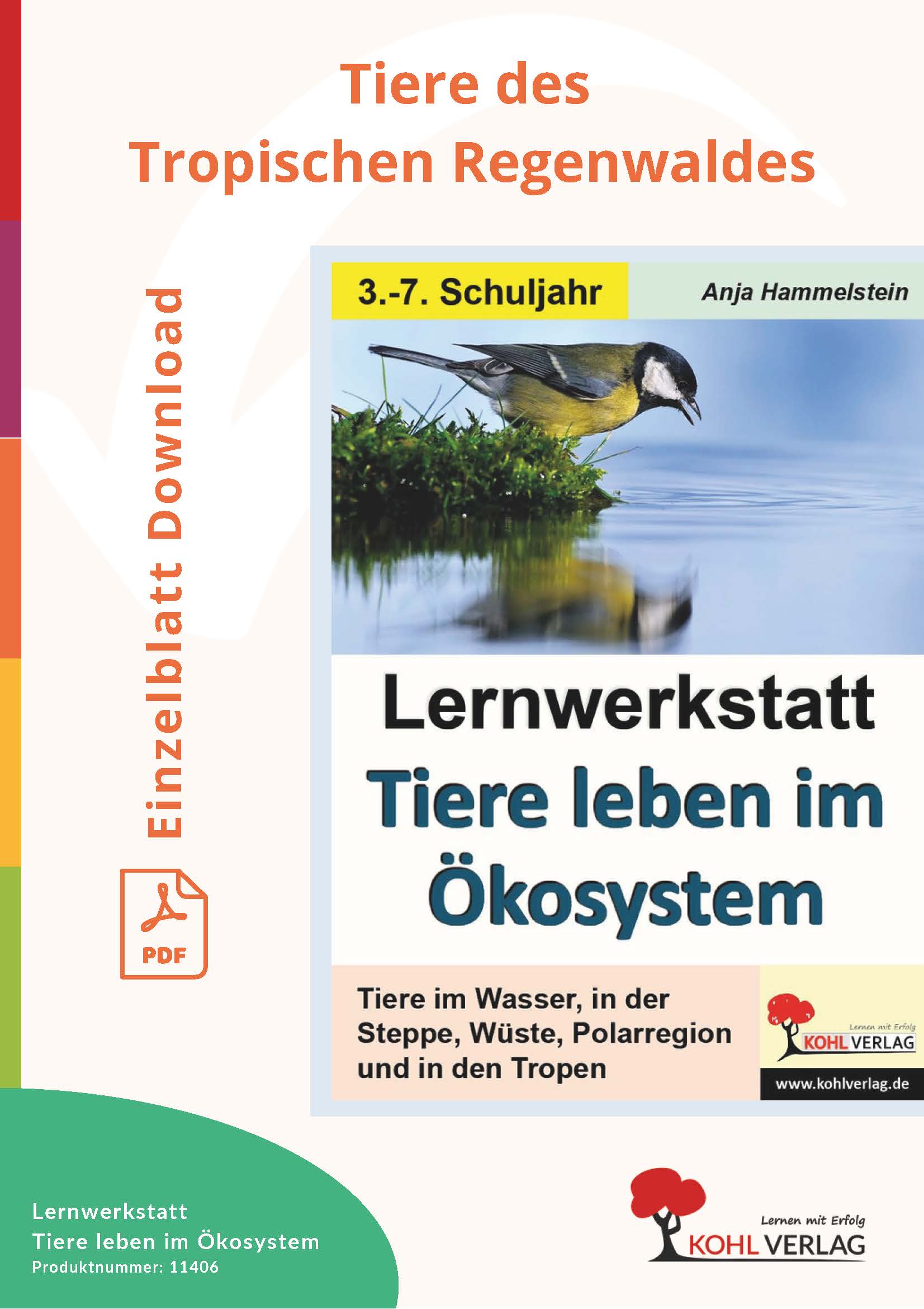 Lernwerkstatt: Tiere des Tropischen Regenwaldes