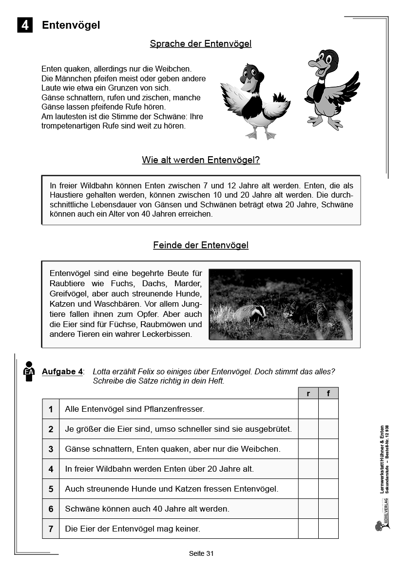 Lernwerkstatt Hühner & Enten / Sekundarstufe