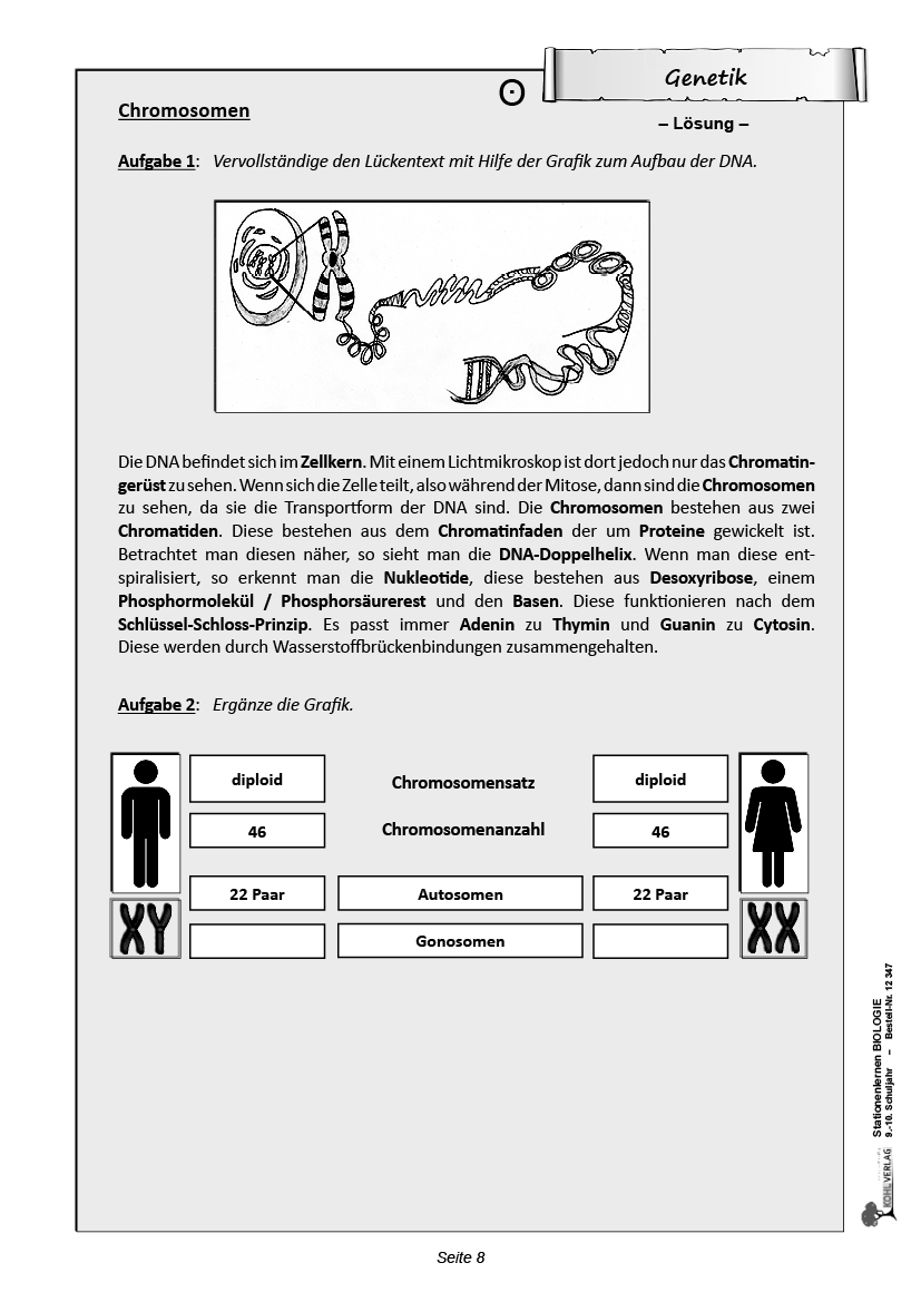 Stationenlernen Biologie 9/10