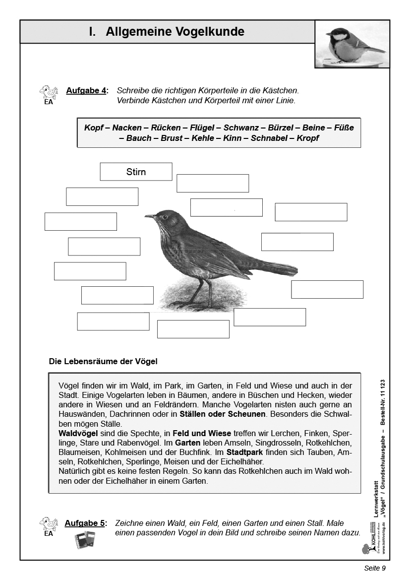 Lernwerkstatt Vögel (GS)