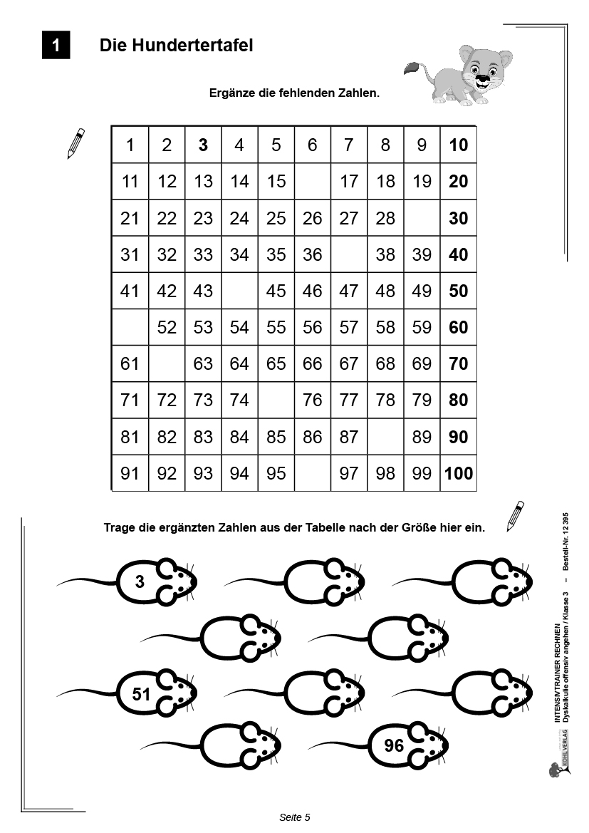 Intensivtrainer Rechnen / Klasse 3
