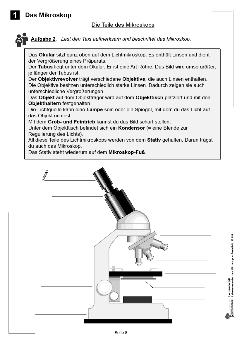 Lernwerkstatt Lebewesen unter dem Mikroskop / Klasse 5-6