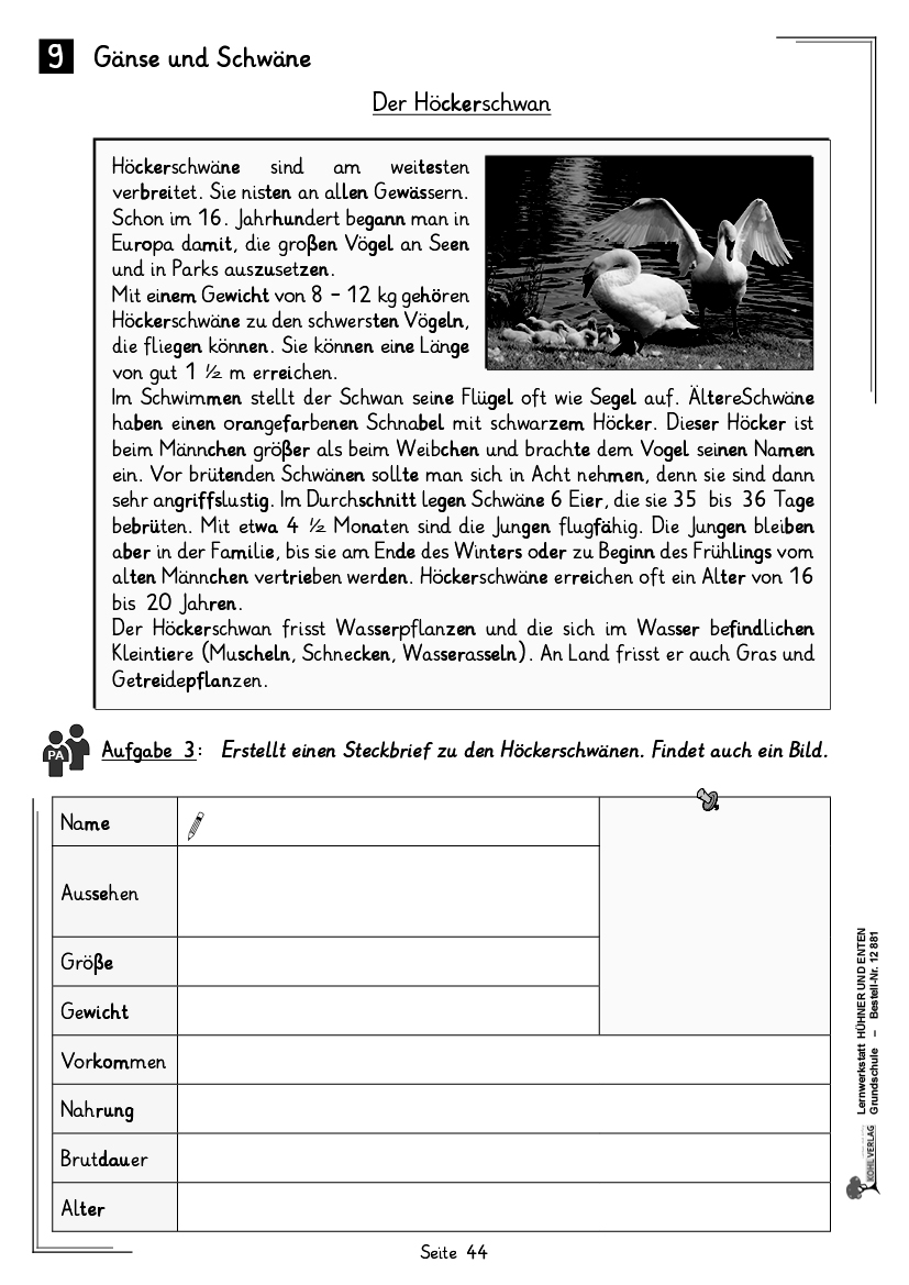 Lernwerkstatt Hühner & Enten / Grundschule Lernwerkstatt Hühner & Enten / Grundschule