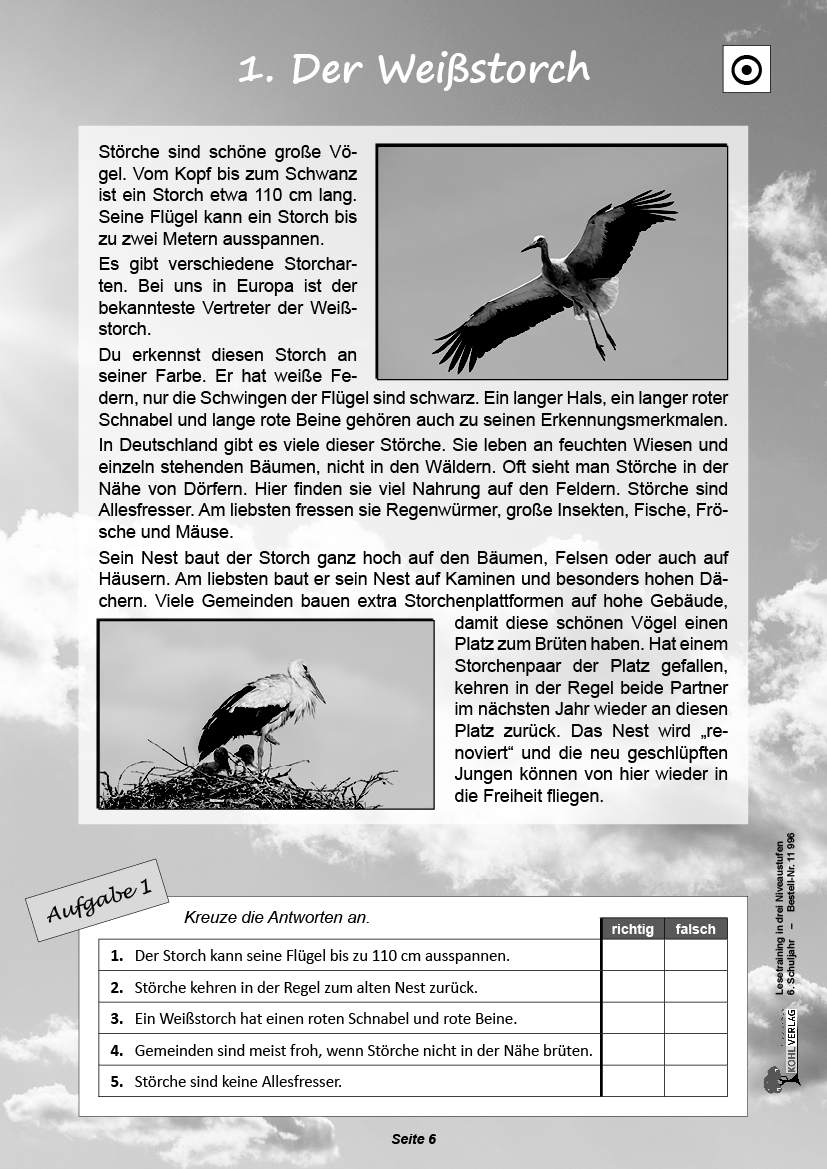Lesetraining in drei Niveaustufen / Klasse 6