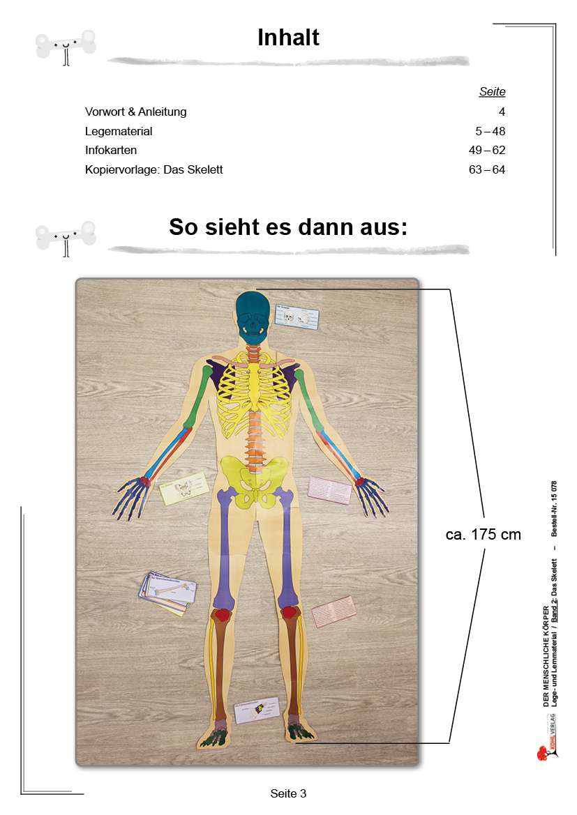Der menschliche Körper / Band 2: Das Skelett