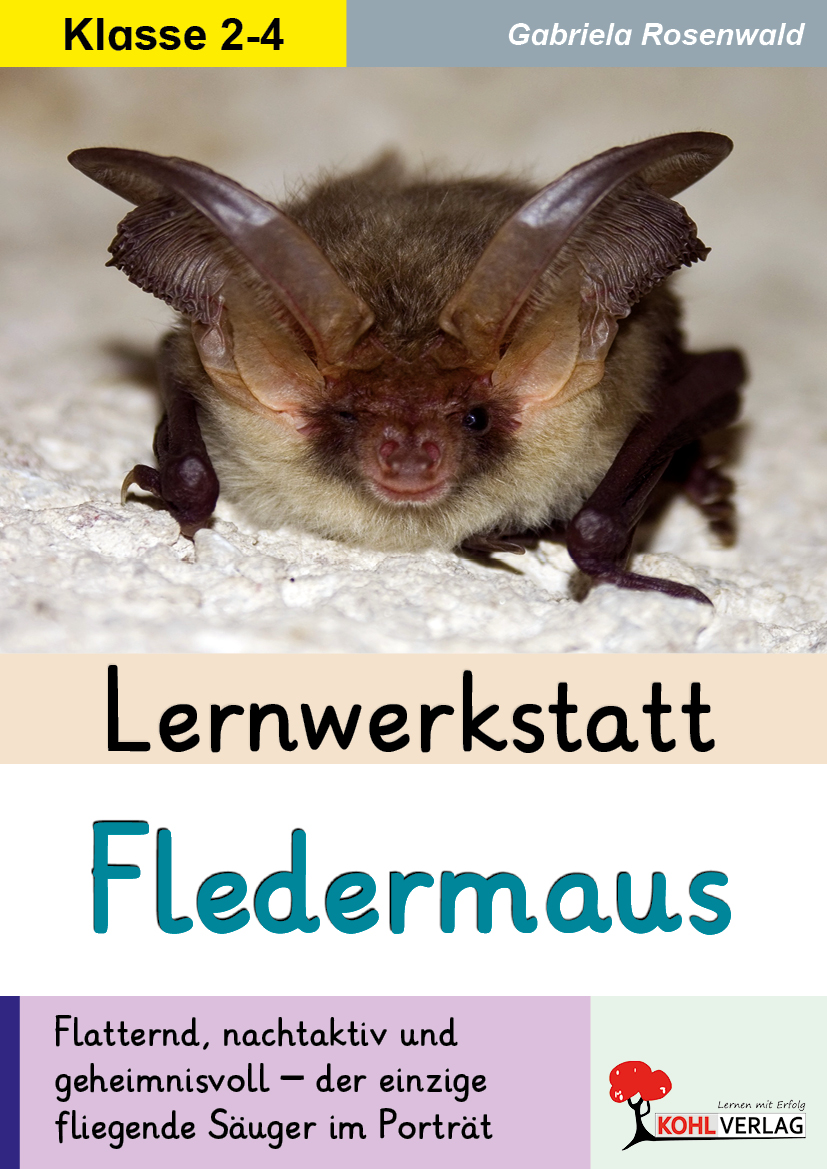Lernwerkstatt Fledermaus