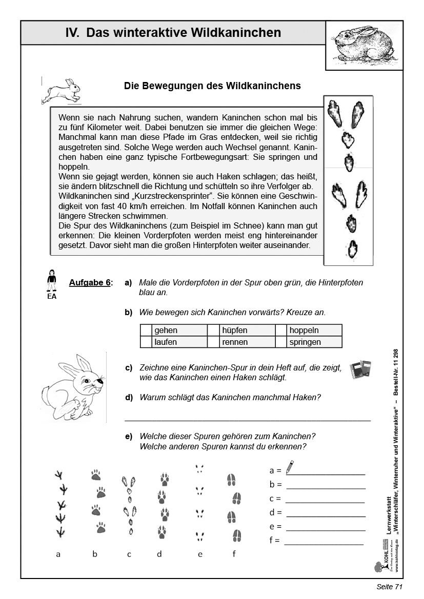 Lernwerkstatt Winterschläfer, Winterruher & -aktive