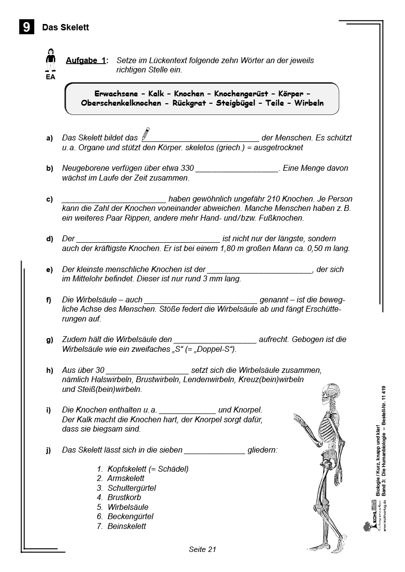 Biologie - Grundwissen kurz, knapp und klar  III