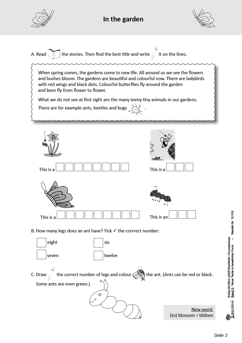 Englisches Lesetraining II