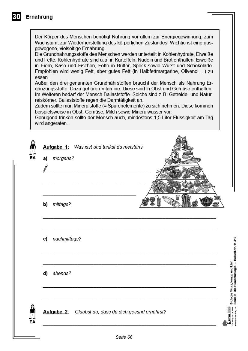 Biologie - Grundwissen kurz, knapp und klar  III