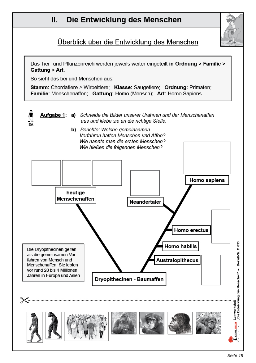 Lernwerkstatt Die Entwicklung des Menschen