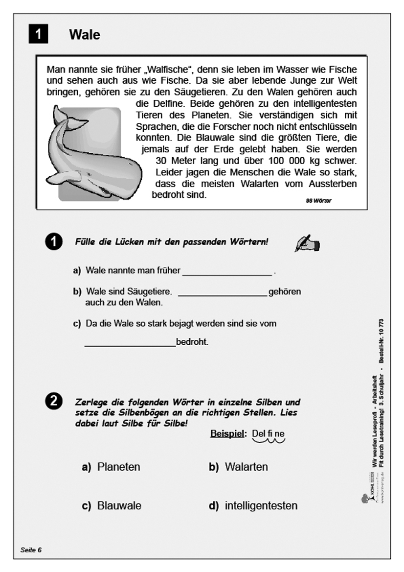 Wir werden Leseprofi - Arbeitsheft / Klasse 3