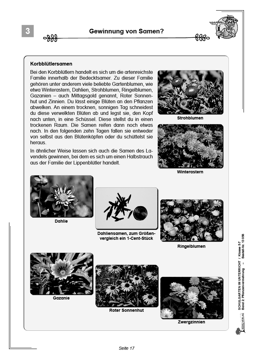 Schulgarten im Unterricht / Band 2: Pflanzenvermehrung