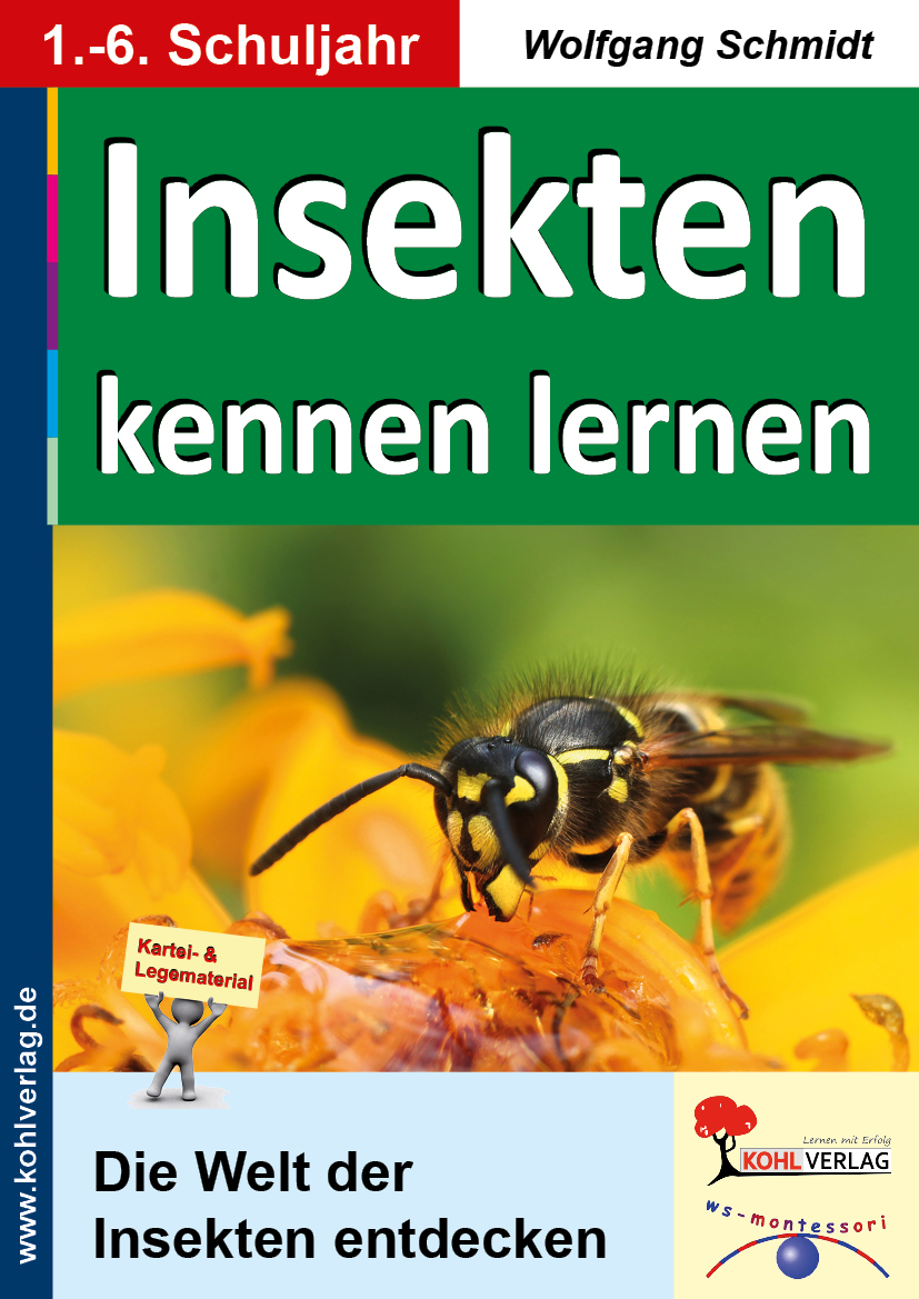 Insekten