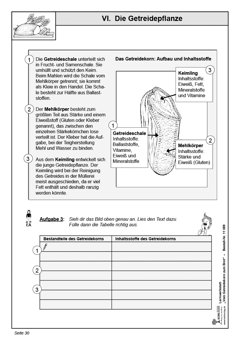 Lernwerkstatt Vom Getreidekorn zum Brot