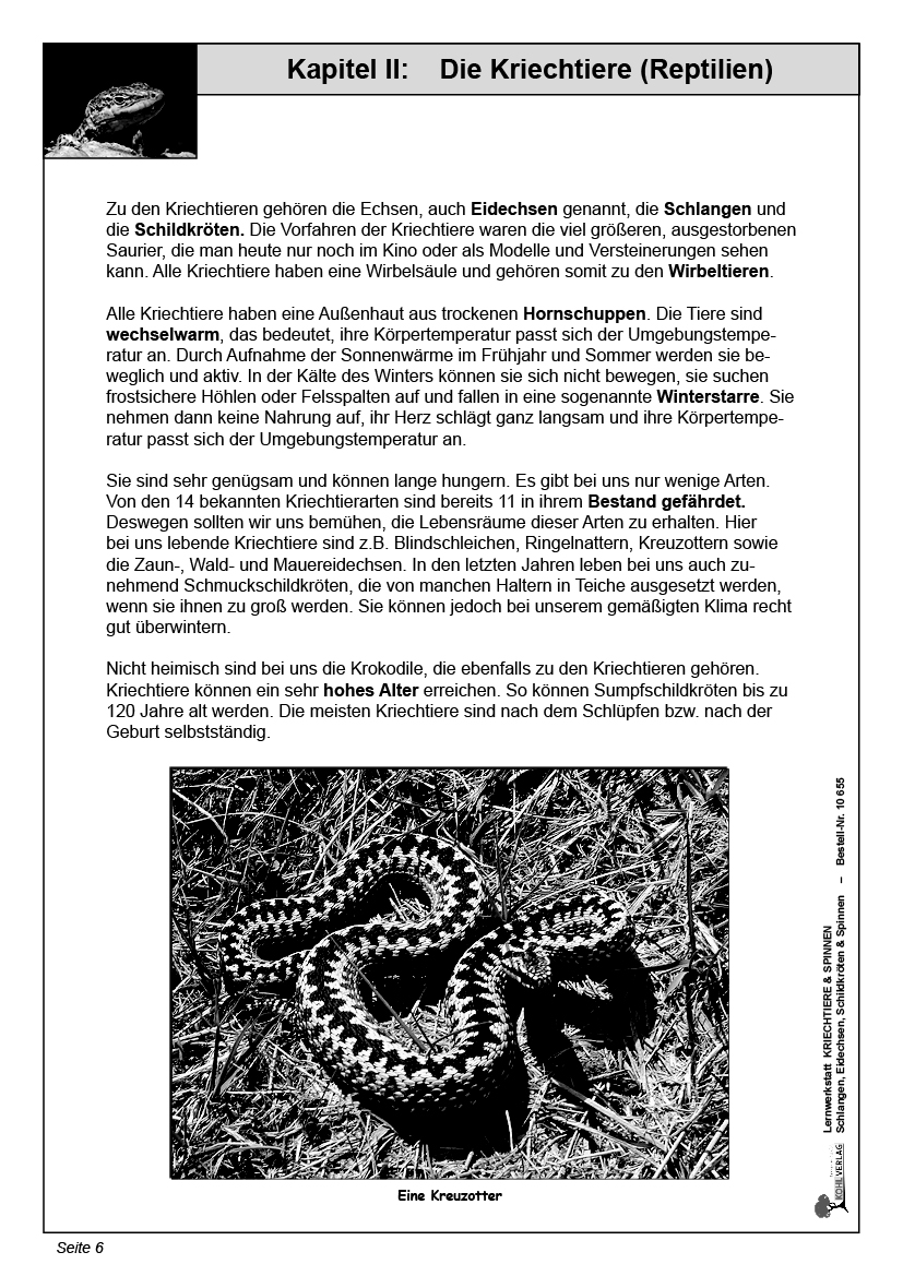 Lernwerkstatt Kriechtiere und Spinnen Lernwerkstatt Kriechtiere und Spinnen