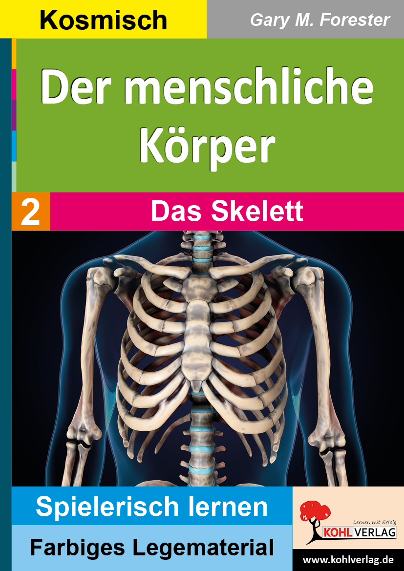 Der menschliche Körper / Band 2: Das Skelett