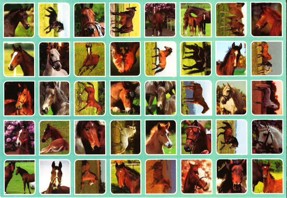 Belohnungssticker Pferde & Fohlen Belohnungssticker Pferde & Fohlen