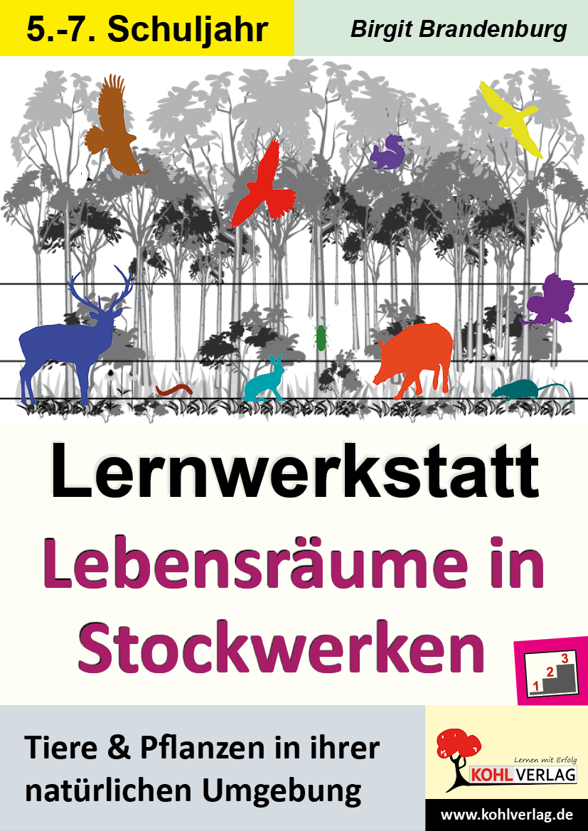 Lernwerkstatt Lebensräume in Stockwerken