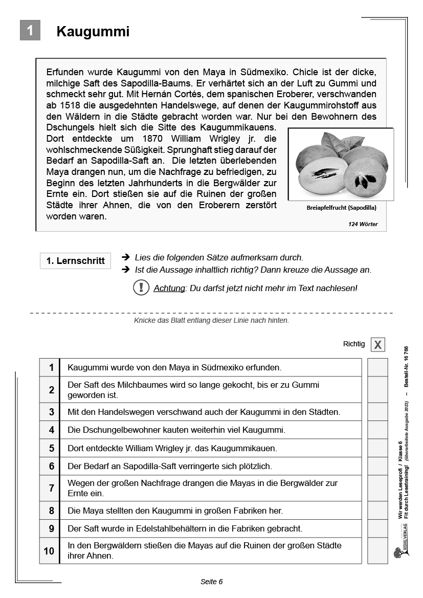 Der Leseprofi / Klasse 6