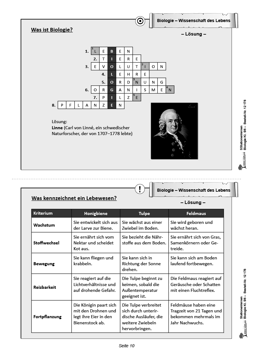 Stationenlernen Biologie 5/6