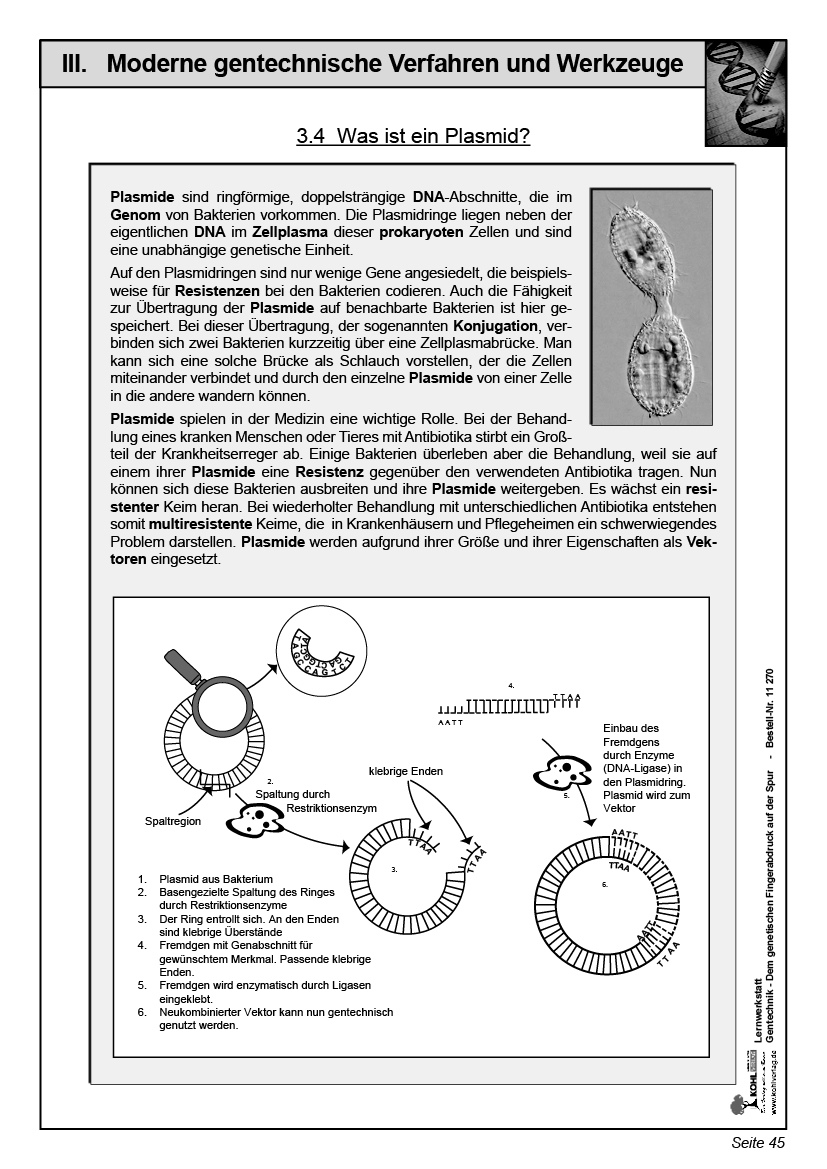 Lernwerkstatt Gentechnik