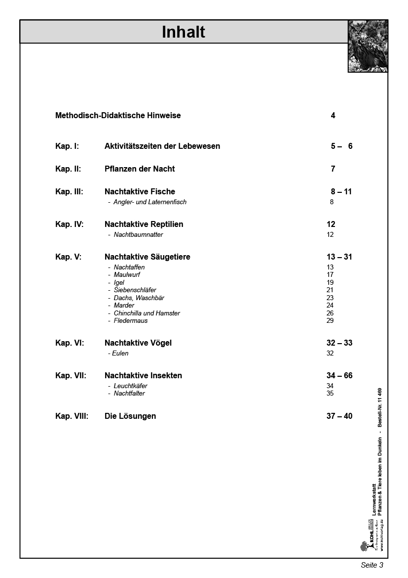 Lernwerkstatt Nachtaktive Pflanzen und Tiere