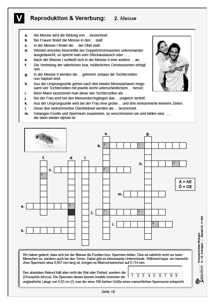 Kreuzworträtsel Biologie / Klasse 9-10