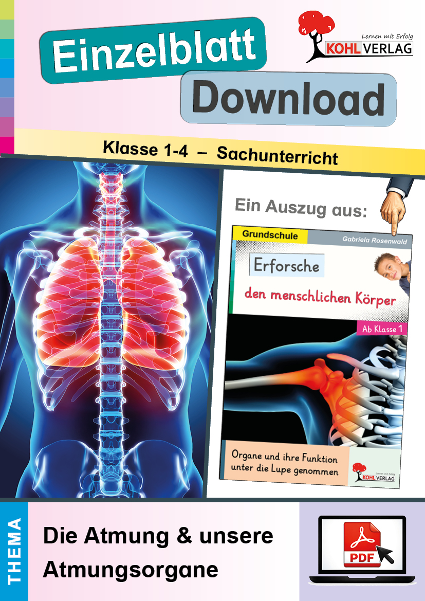 Erforsche den menschlichen Körper / Die Atmung & unsere Atmungsorgane