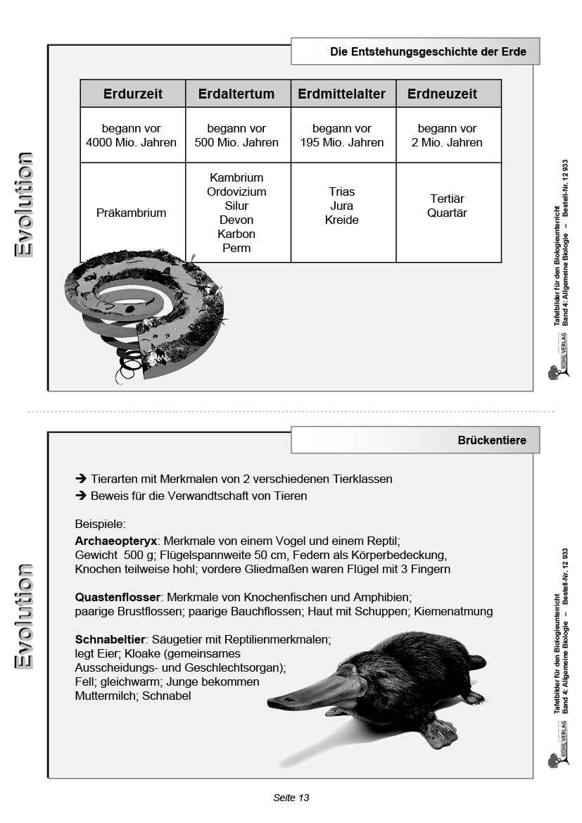 Tafelbilder Allgemeine Biologie