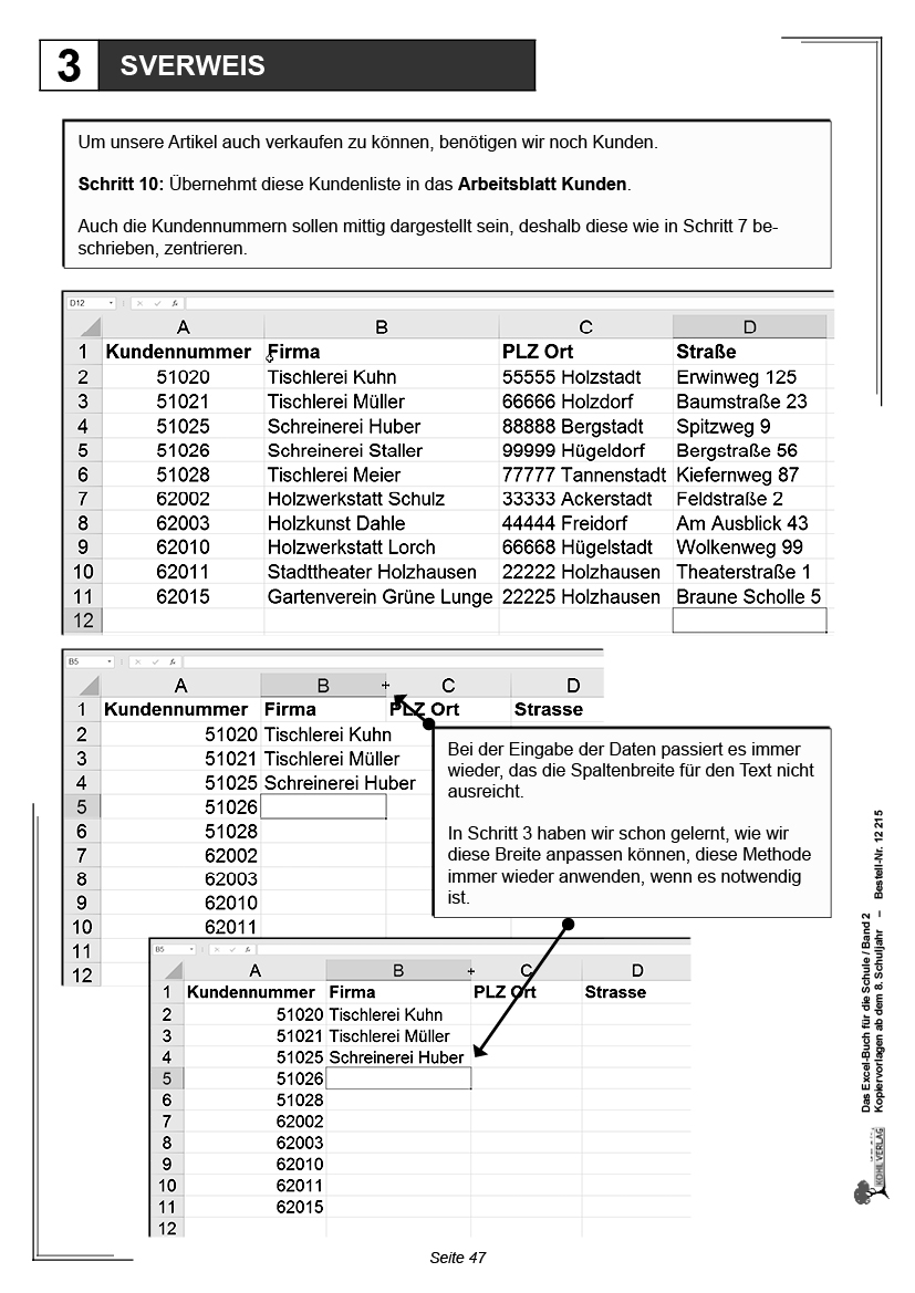 Das Excel-Buch für die Schule / Band 2