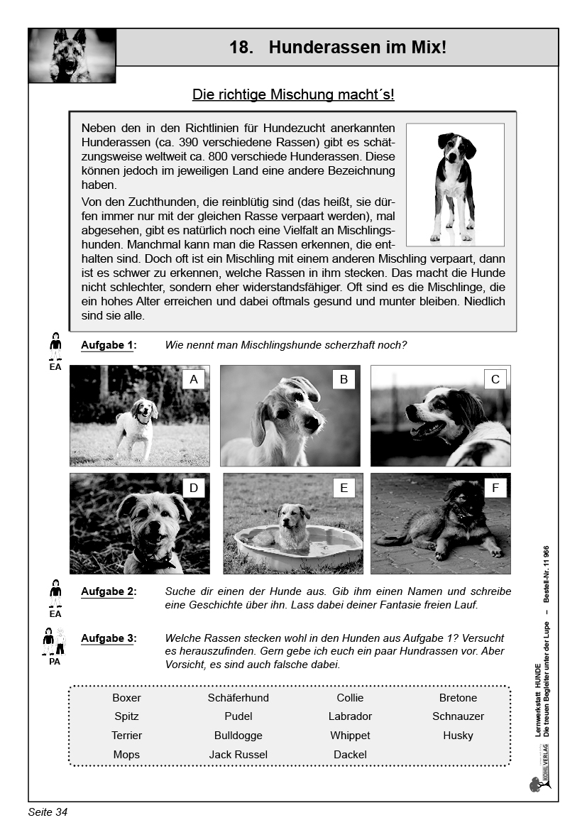 Lernwerkstatt Hunde Lernwerkstatt Hunde
