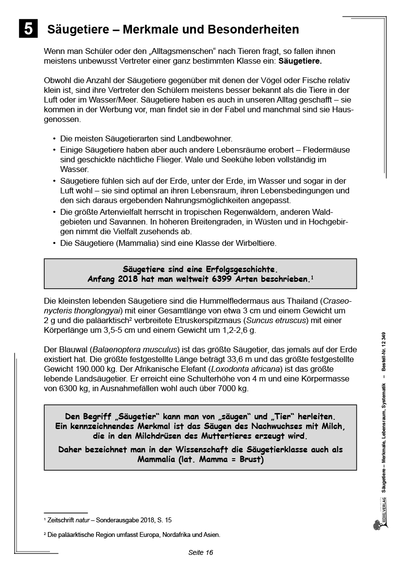 Säugetiere - Merkmale, Lebensraum, Systematik