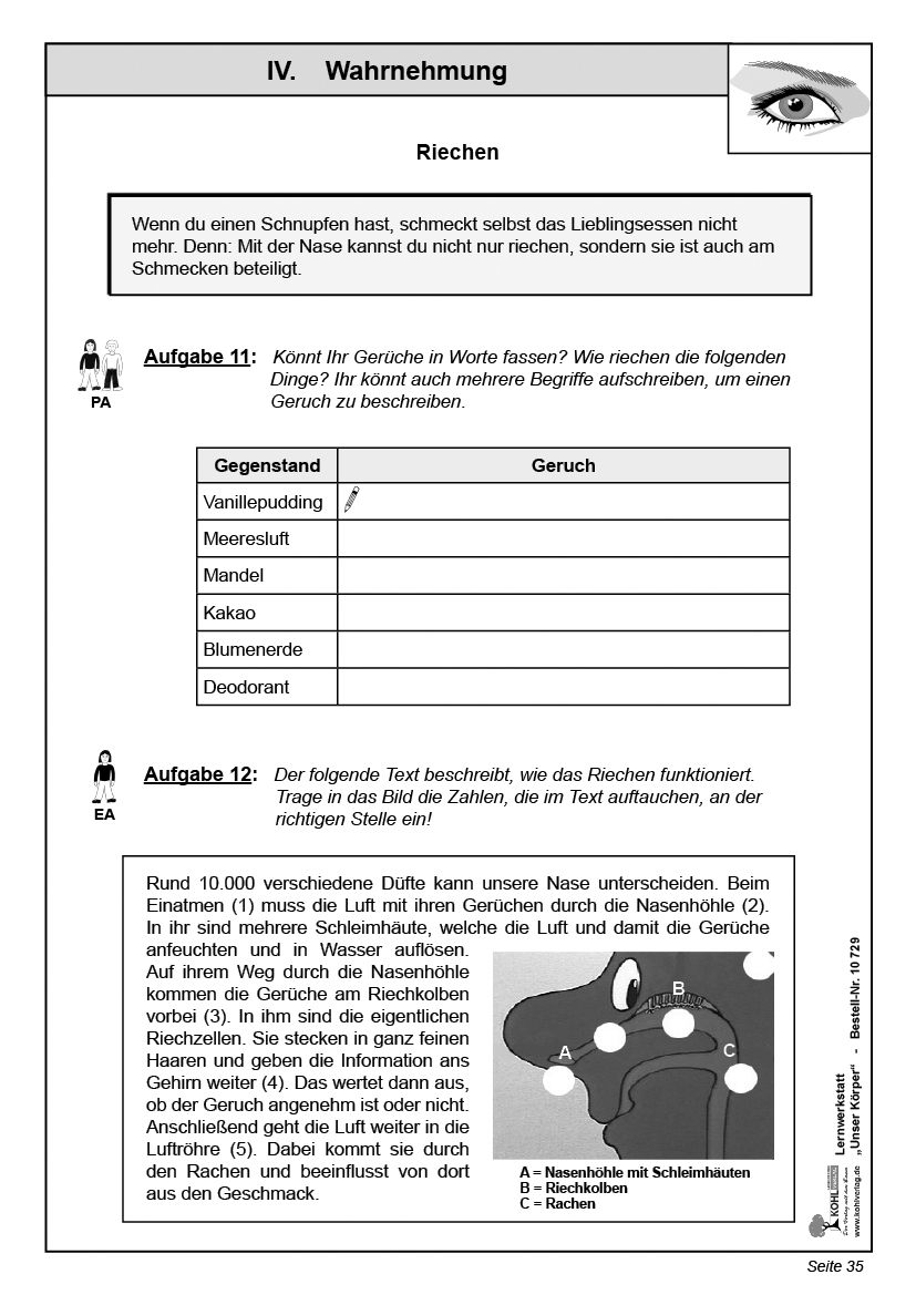 Lernwerkstatt Unser Körper