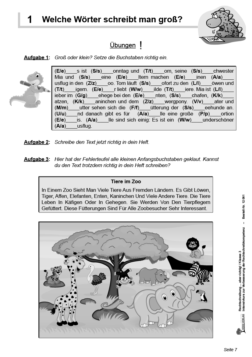Rechtschreibung ... aber richtig! / Klasse 3