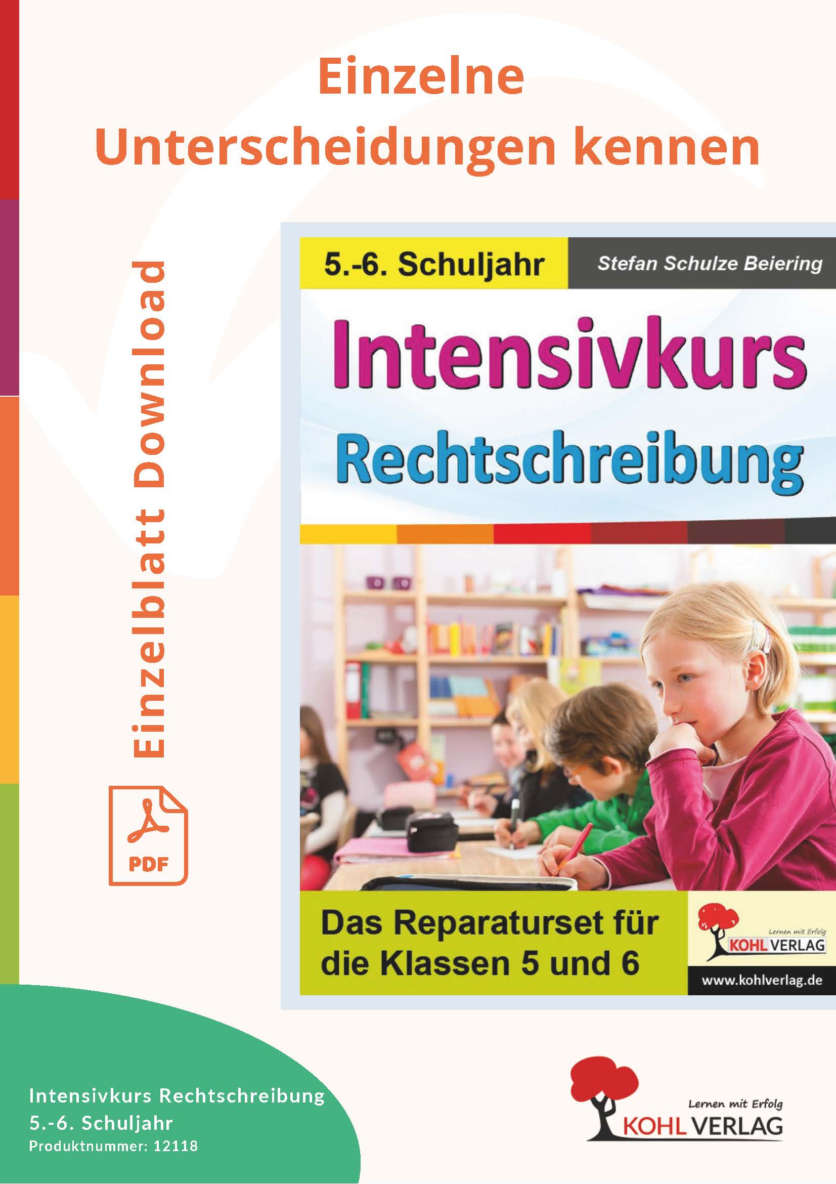 Intensivkurs Rechtschreibung 5/6: Einzelne Unterscheidungen kennen