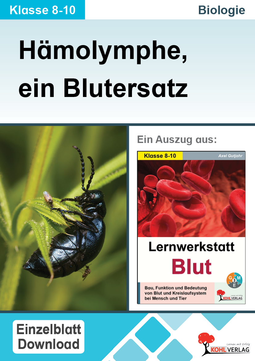 Lernwerkstatt Blut / Hämolymphe, ein "Blutersatz"