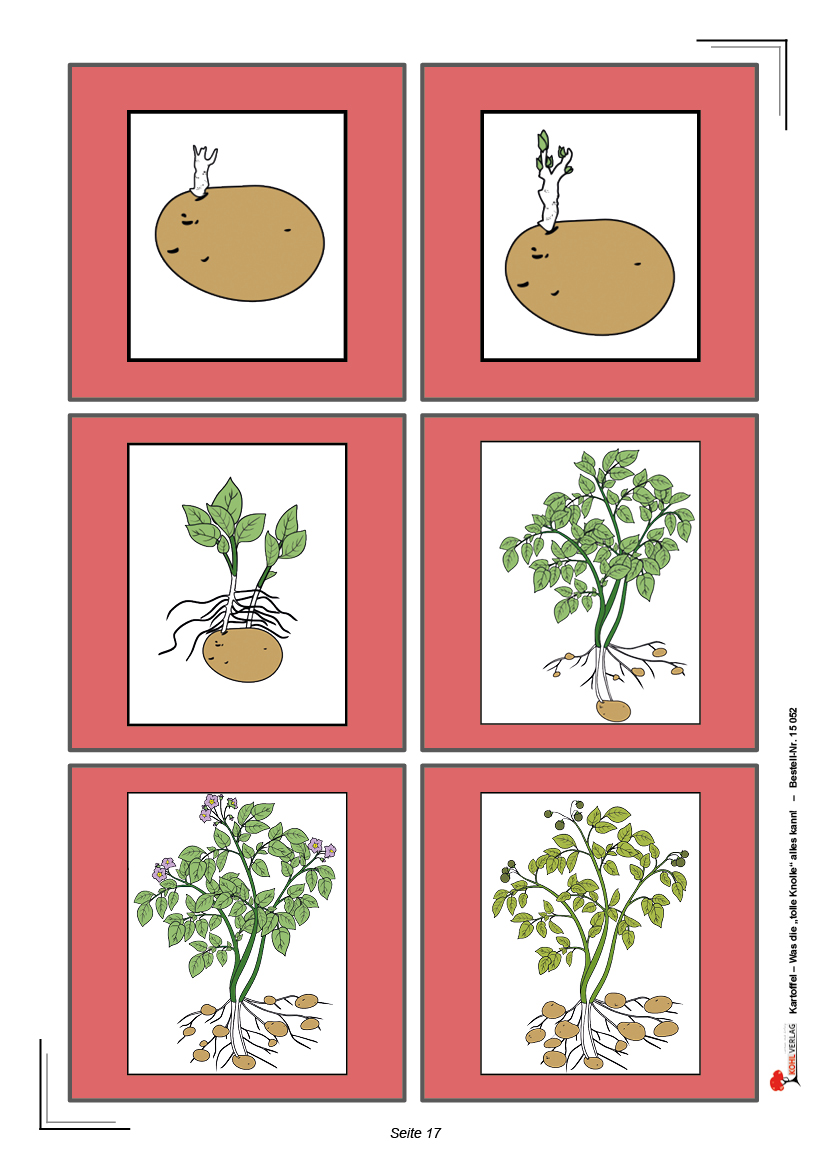 Kartoffel Kartoffel