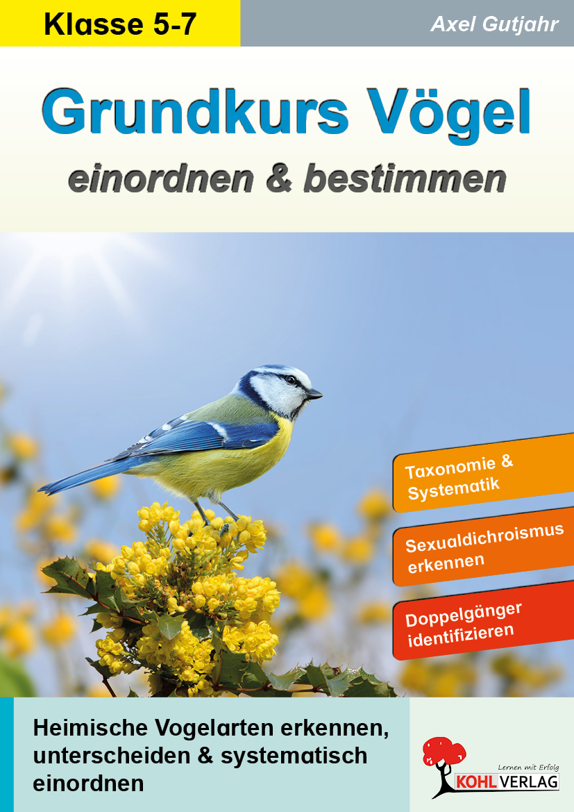 Grundkurs Vögel einordnen und bestimmen