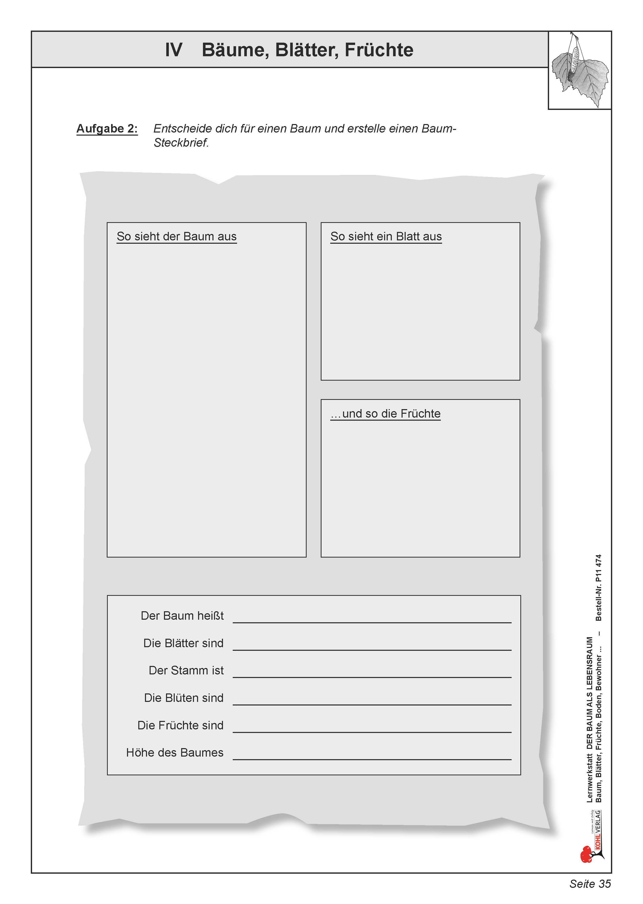 Lernwerkstatt: Bäume, Blätter, Früchte Lernwerkstatt: Bäume, Blätter, Früchte