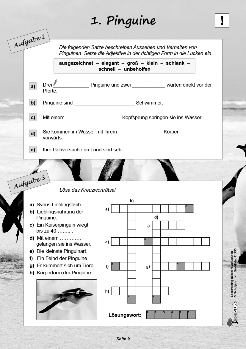 Lesetraining in drei Niveaustufen / Klasse 5