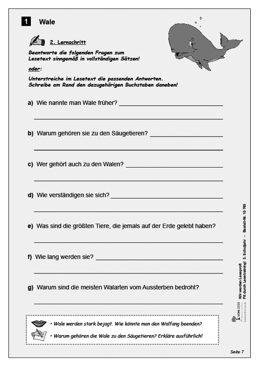 Wir werden Leseprofi / Klasse 3