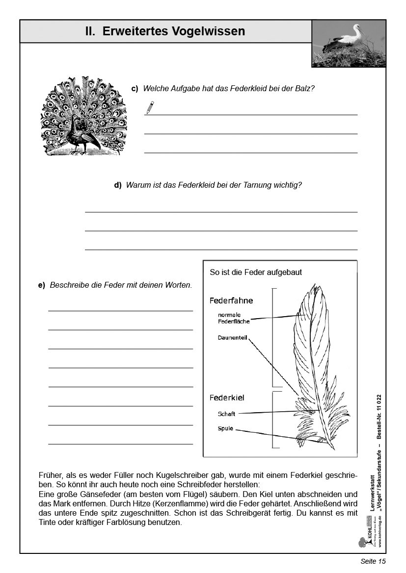 Lernwerkstatt Vögel / SEK Lernwerkstatt Vögel / SEK