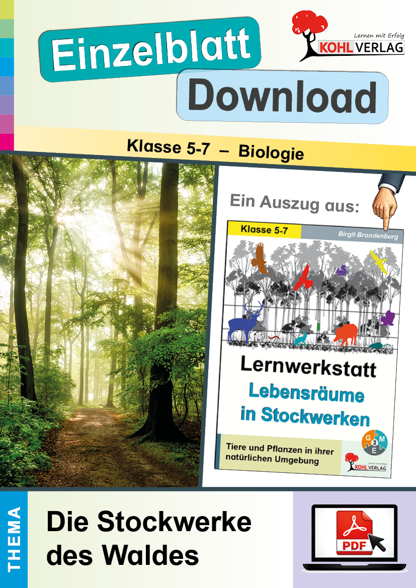 Lernwerkstatt Lebensräume in Stockwerken / Die Stockwerke des Waldes