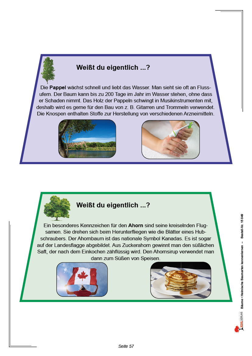 Bäume Bäume