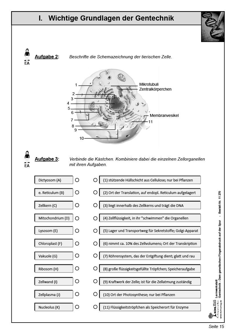 Lernwerkstatt Gentechnik